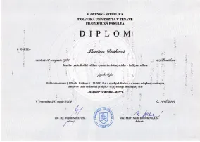 Diplom 15